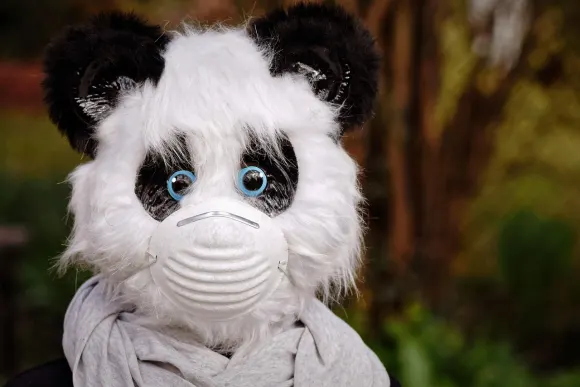 SpinShake Kasyno Wsparcie